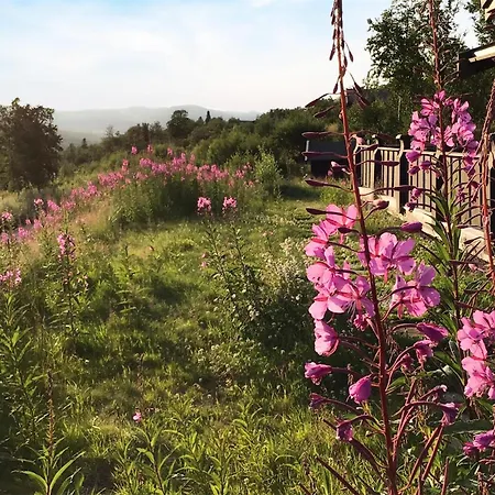 Pet Friendly In Uvdal With Wifi Casa vacanze *