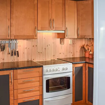 بيت للعطل Pet Friendly In Uvdal With Wifi